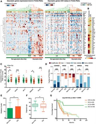 Integrative Analysis of Novel Metabolic Subtypes in Pancreatic Cancer Fosters New Prognostic Biomarkers